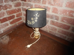 DSCN0052.JPG